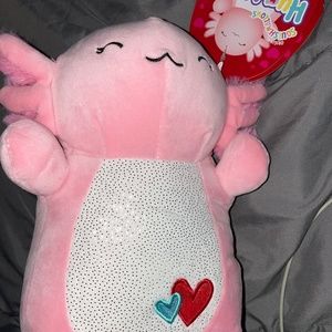 Archie Hug Mees Squishmallows